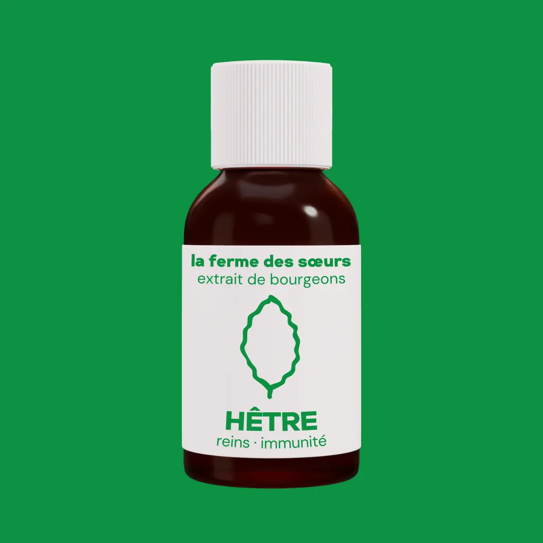 Gemmothérapie extrait de bourgeons bio hêtre