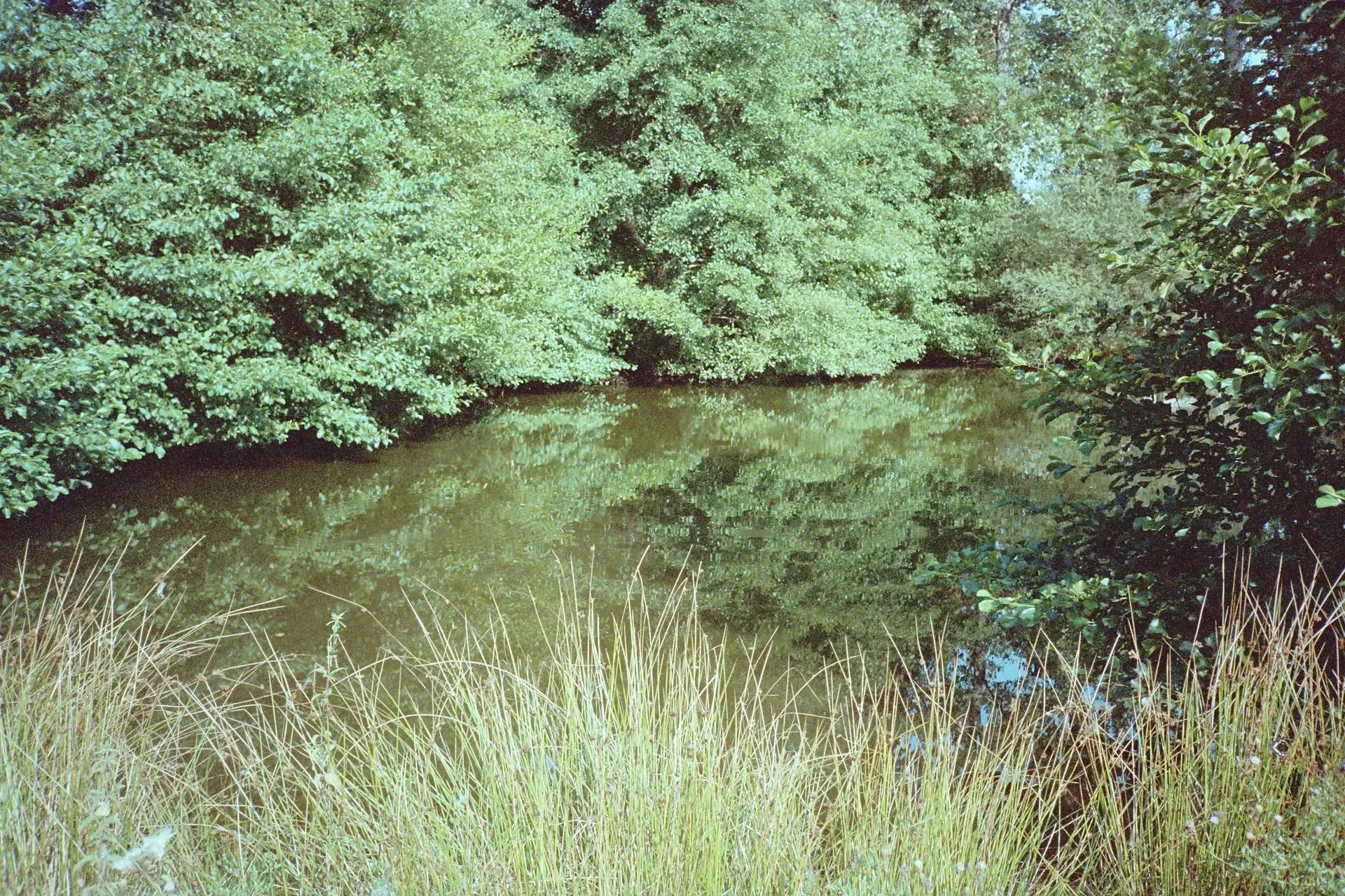 mare de biodiversité sur la ferme paysanne en agroforesterie dans le limousin